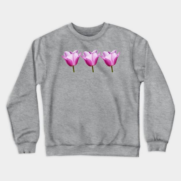 Three Mauve Tulips Photo Crewneck Sweatshirt by ellenhenryart